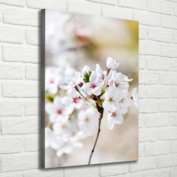 Imprimare tablou canvas flori de cireș