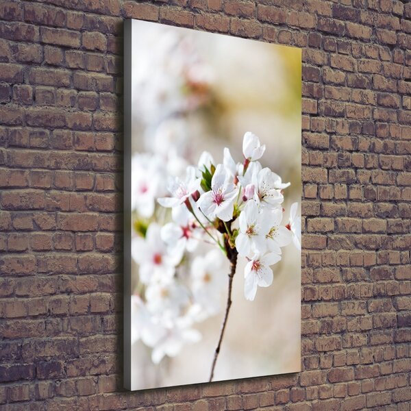 Imprimare tablou canvas flori de cireș
