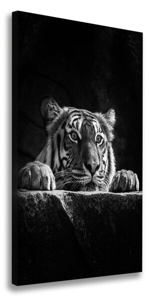 Imprimare tablou canvas Tigru
