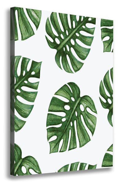 Tablouri tipărite pe pânză Monstera