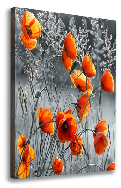 Pictură pe pânză wildflowers maci
