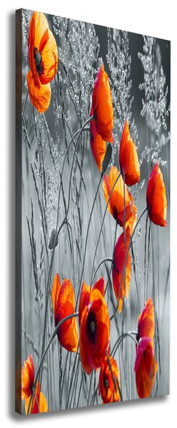 Pictură pe pânză wildflowers maci