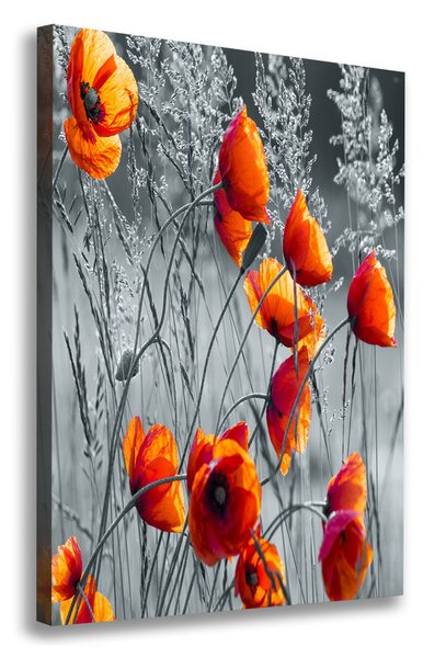 Pictură pe pânză wildflowers maci