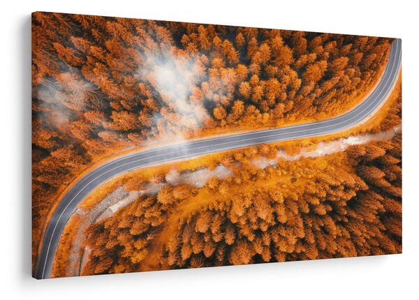 Tablou - Strada montană (90x60 cm)