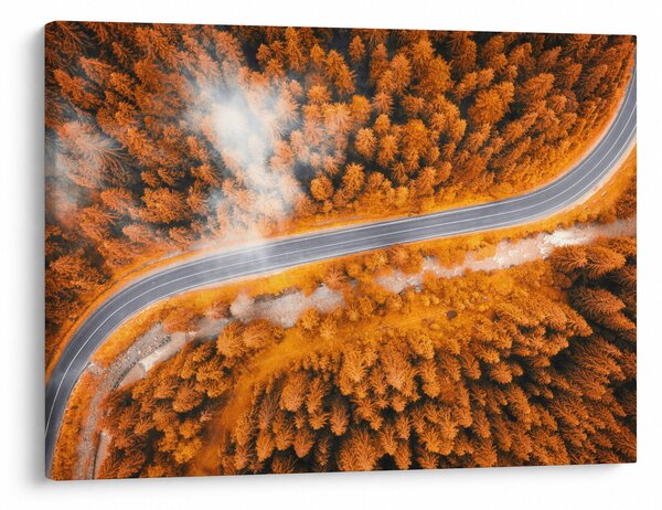 Tablou - Strada montană (70x50 cm)