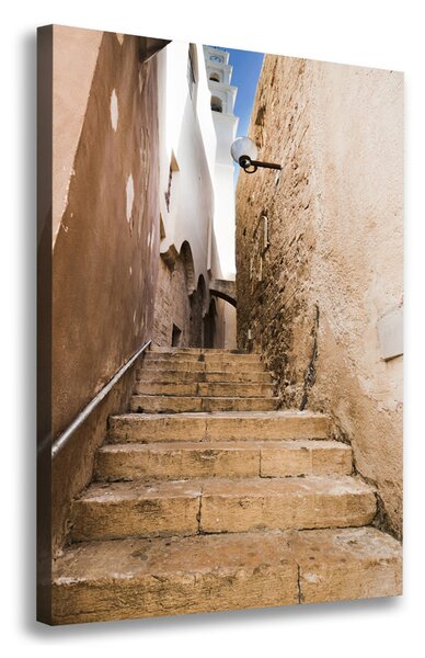 Tablou canvas străzile din Israel
