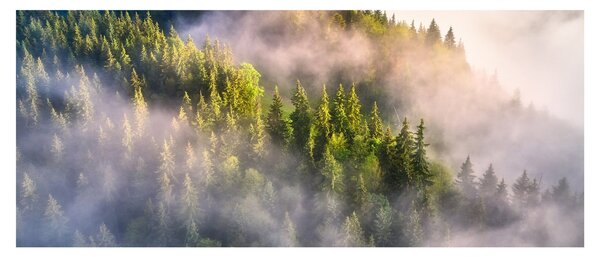 Tablou peisajului montan (120x50 cm)