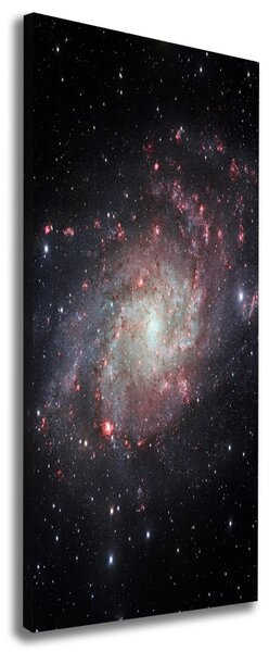 Tablou pe pânză canvas Nebuloasă