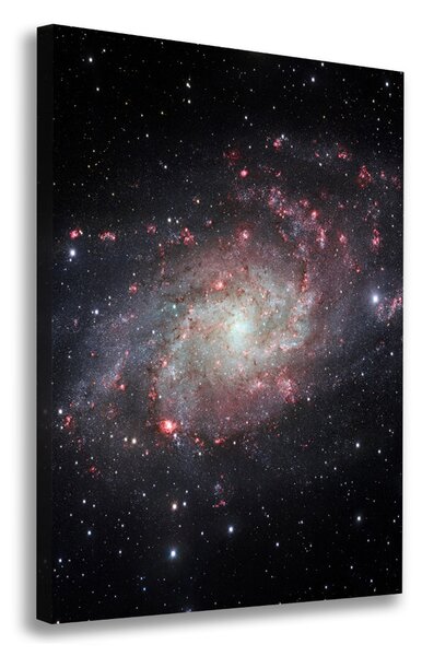 Tablou pe pânză canvas Nebuloasă