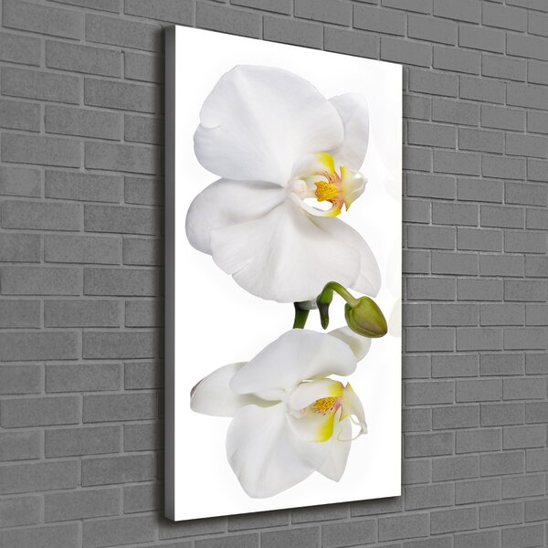 Print pe canvas alb orhidee