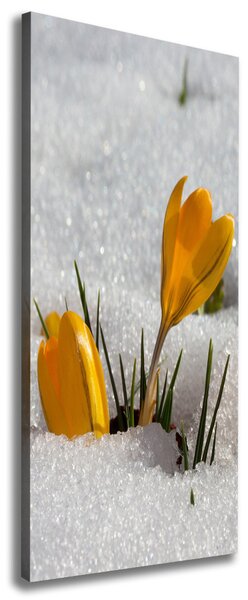 Print pe canvas branduse galben