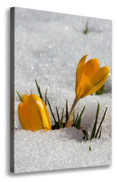 Print pe canvas branduse galben