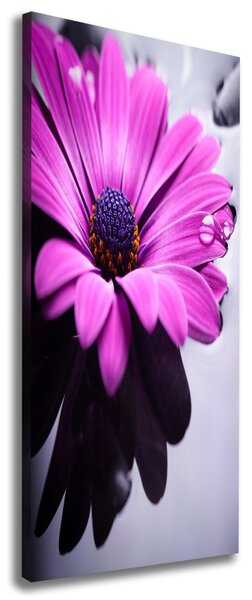 Print pe canvas gerbera roz
