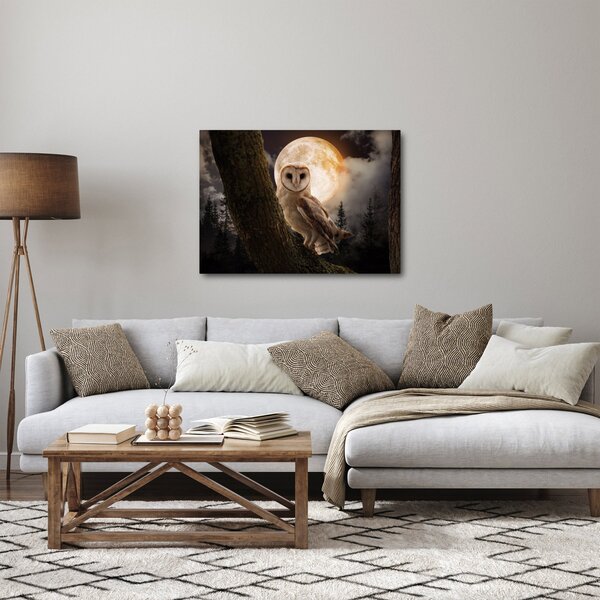 Tablou cu bufnița (70x50 cm)