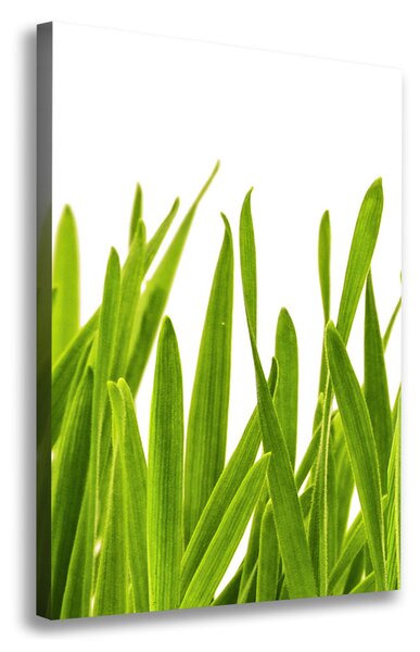 Tablouri tipărite pe pânză iarbă verde