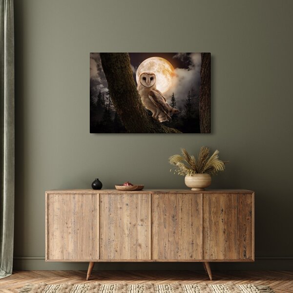 Tablou cu bufnița (90x60 cm)
