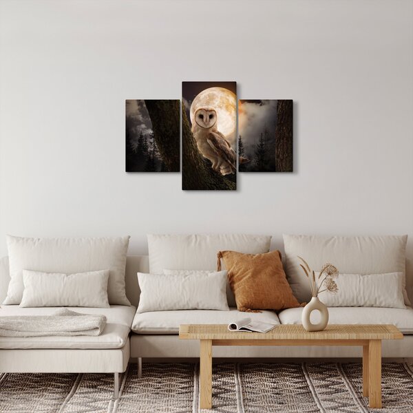 Tablou cu bufnița (90x60 cm)