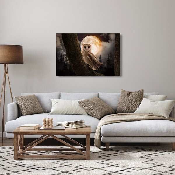 Tablou cu bufnița (90x60 cm)