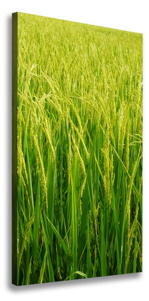 Tablou canvas orezarie