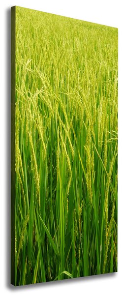 Tablou canvas orezarie