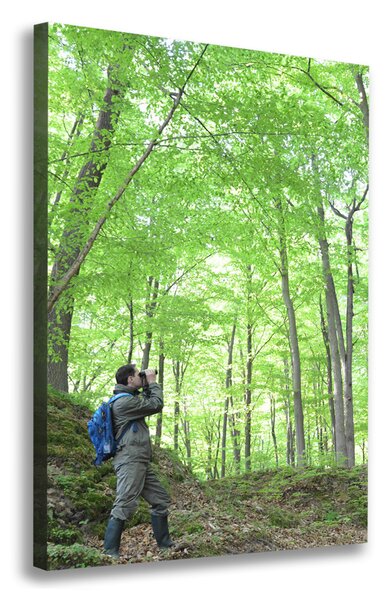 Print pe canvas Ornitolog