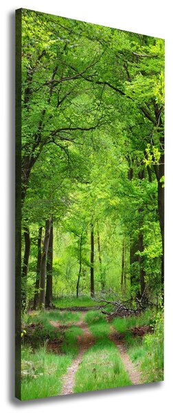 Tablou canvas Pădure verde