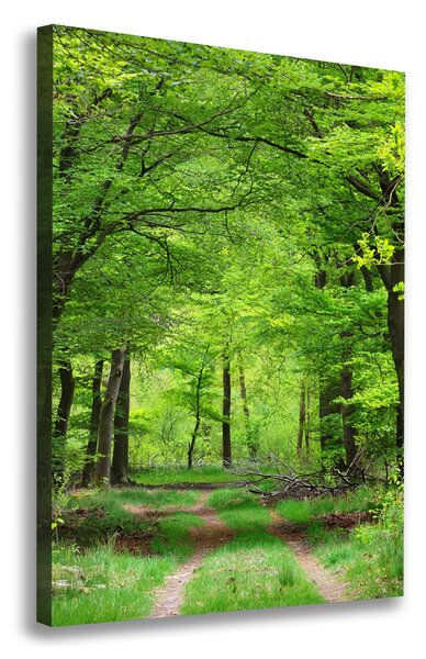 Tablou canvas Pădure verde