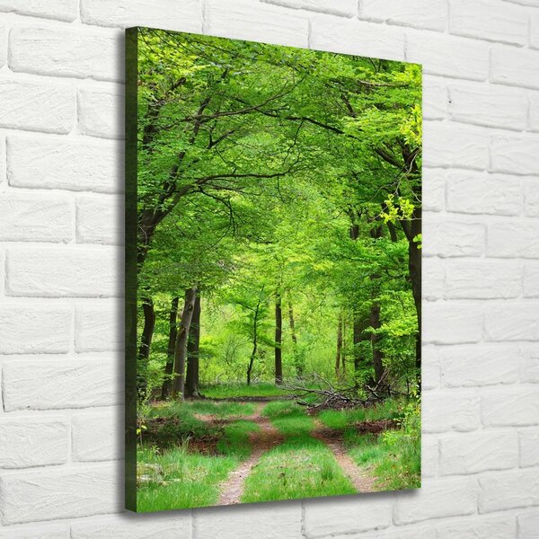 Tablou canvas Pădure verde