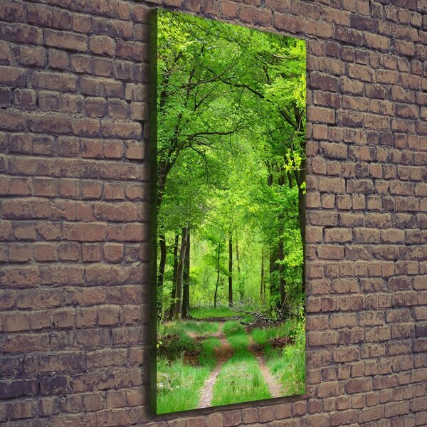 Tablou canvas Pădure verde