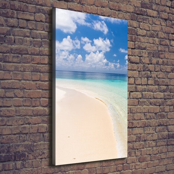 Tablou pe pânză canvas plaja Maldive