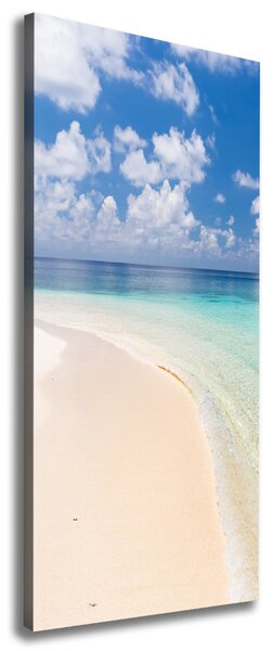 Tablou pe pânză canvas plaja Maldive