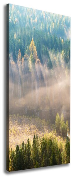 Tablou canvas Ceață peste pădure