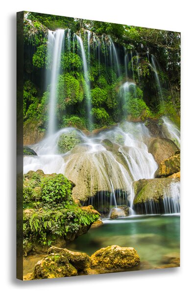 Tablou pe pânză Cascada din junglă
