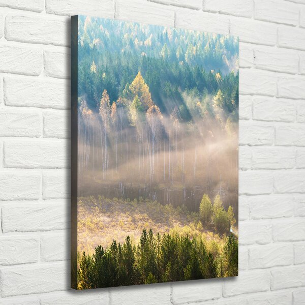 Tablou canvas Ceață peste pădure