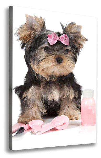 Print pe canvas cosmetice Yorkshire