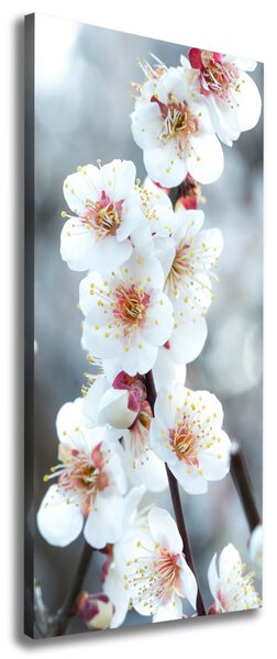 Imprimare tablou canvas flori de cireș