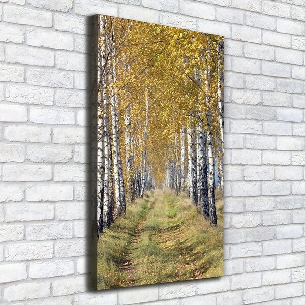 Tablou canvas pădurea de mesteacăn