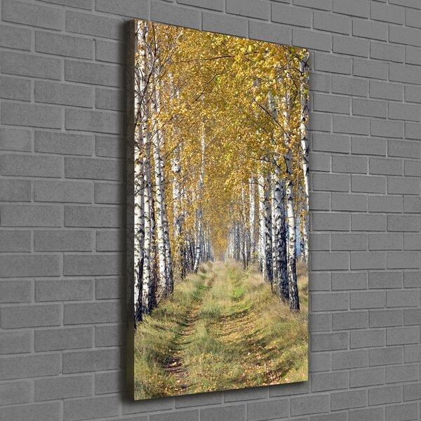Tablou canvas pădurea de mesteacăn