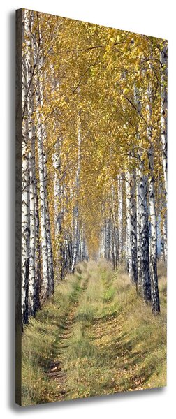 Tablou canvas pădurea de mesteacăn