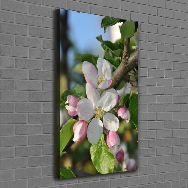 Tablou canvas flori de cireș