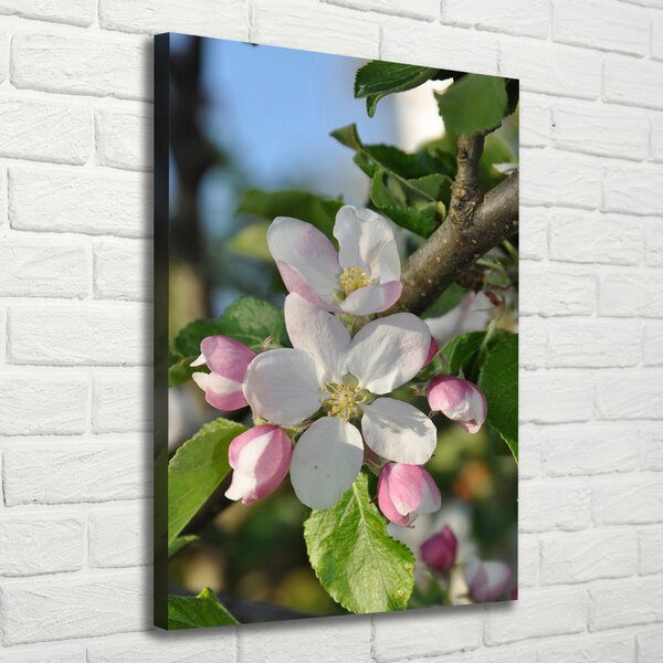 Tablou canvas flori de cireș