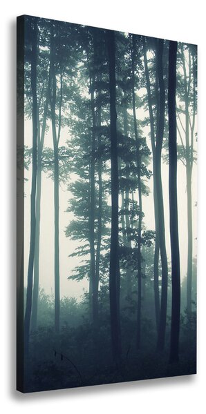 Tablouri tipărite pe pânză Ceață în pădure