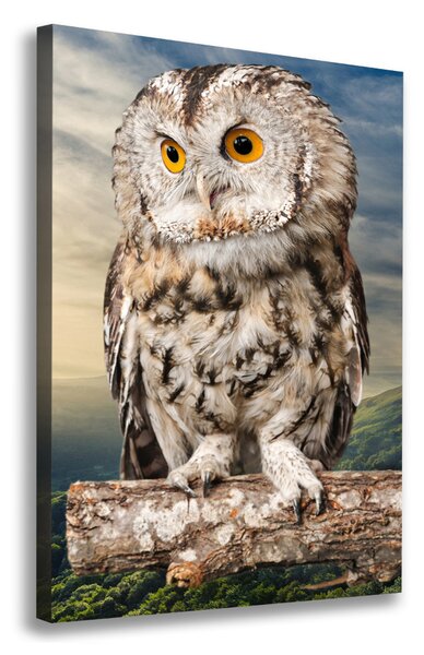 Tablou canvas Owl pe deal