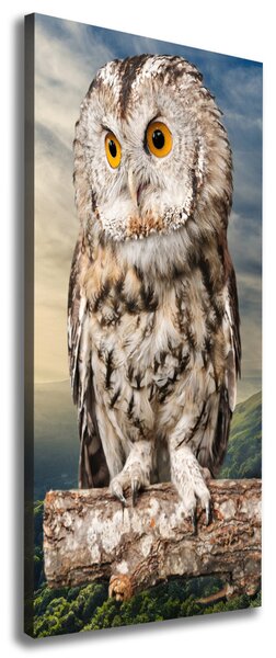 Tablou canvas Owl pe deal