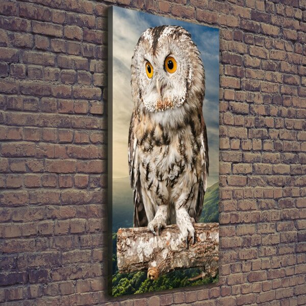 Tablou canvas Owl pe deal