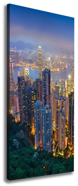 Pictură pe pânză Hong Kong pe timp de noapte