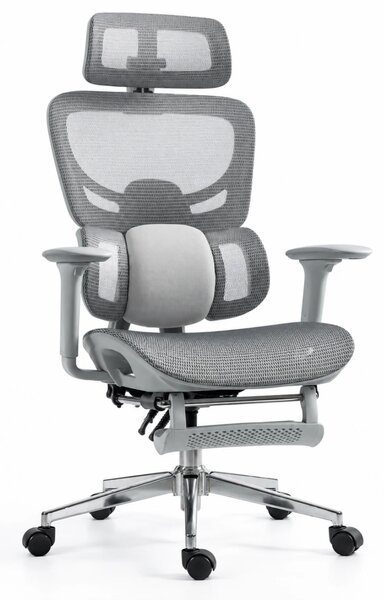 ErgoVanta Mesh — Scaun ergonomic, Suport lombar reglabil, Tetieră 2D, Cotiere reglabile, Mecanism cu blocare, Suport pentru picioare retractabil, Mesh, Gri