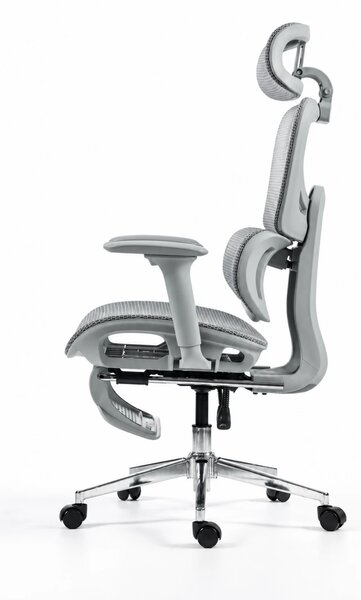 ErgoVanta Mesh — Scaun ergonomic, Suport lombar reglabil, Tetieră 2D, Cotiere reglabile, Mecanism cu blocare, Suport pentru picioare retractabil, Mesh, Gri