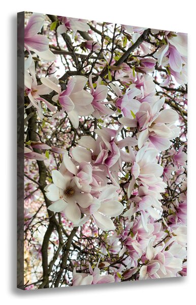 Tablou canvas flori magnolia