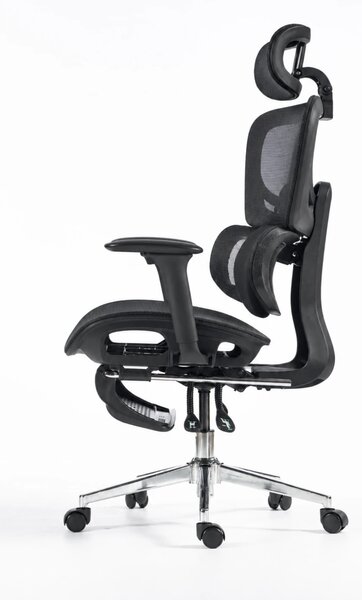 ErgoVanta Mesh — Scaun ergonomic, Suport lombar reglabil, Tetieră 2D, Cotiere reglabile, Mecanism cu blocare, Suport pentru picioare retractabil, Mesh, Negru